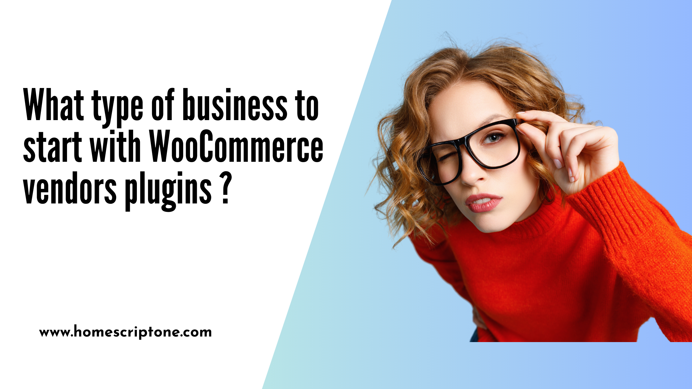 What type of business to start with WooCommerce vendors plugins ?